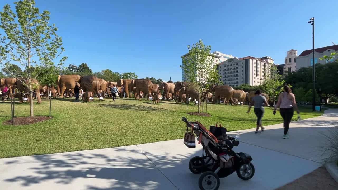 The Great Elephant Migration in Houston