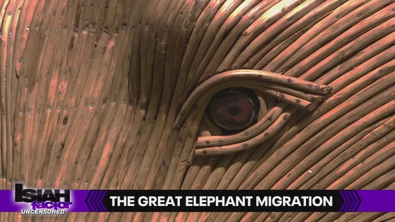 'The Great Elephant Migration' makes it way to Houston