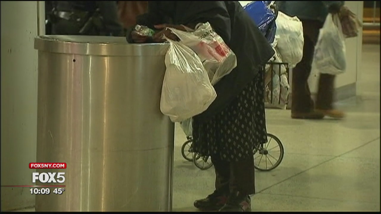 NYC homelessness | FOX 5 New York