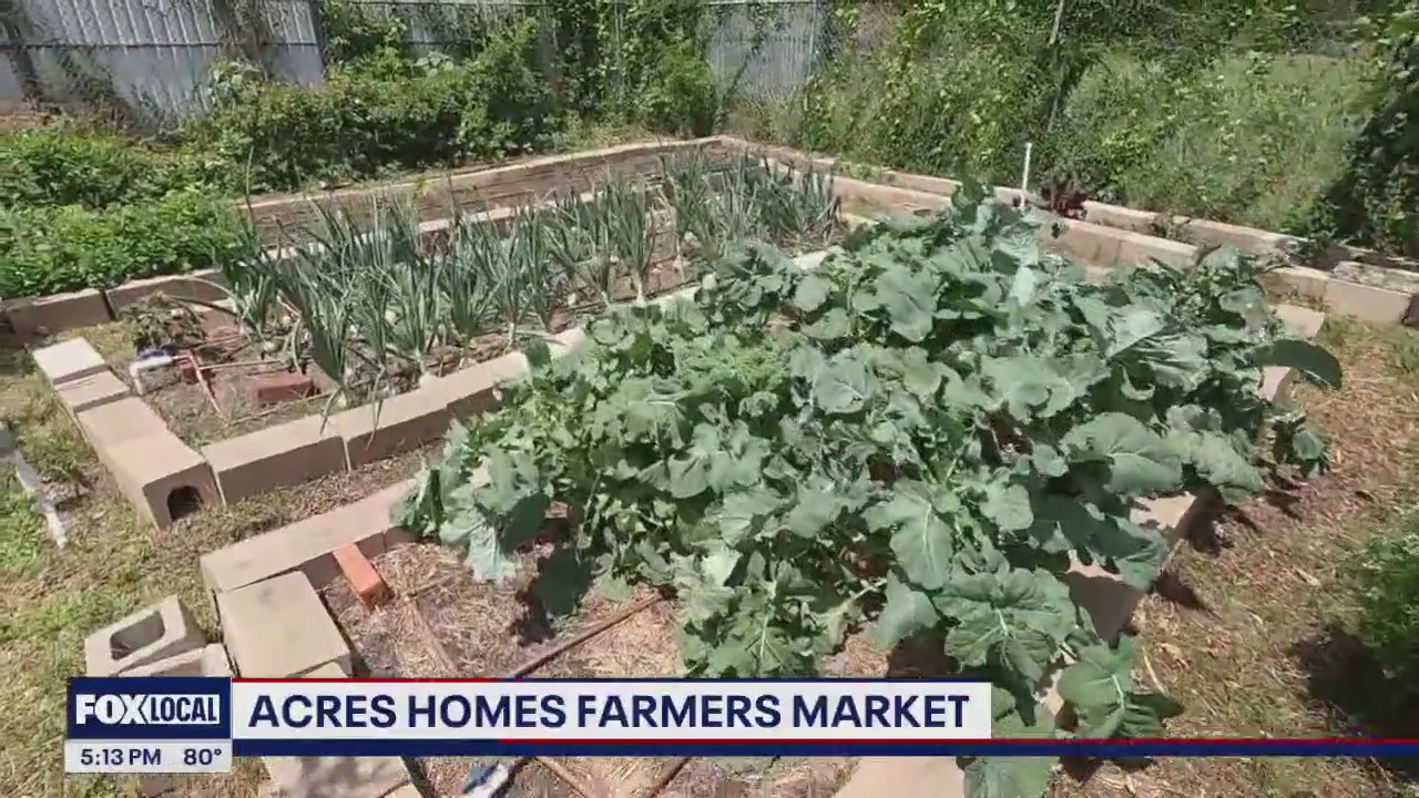 METRO to offer discounted rides to Acres Homes Farmers Market