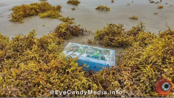 Galveston County: Cocaine packages found washed ashore on Easter Sunday