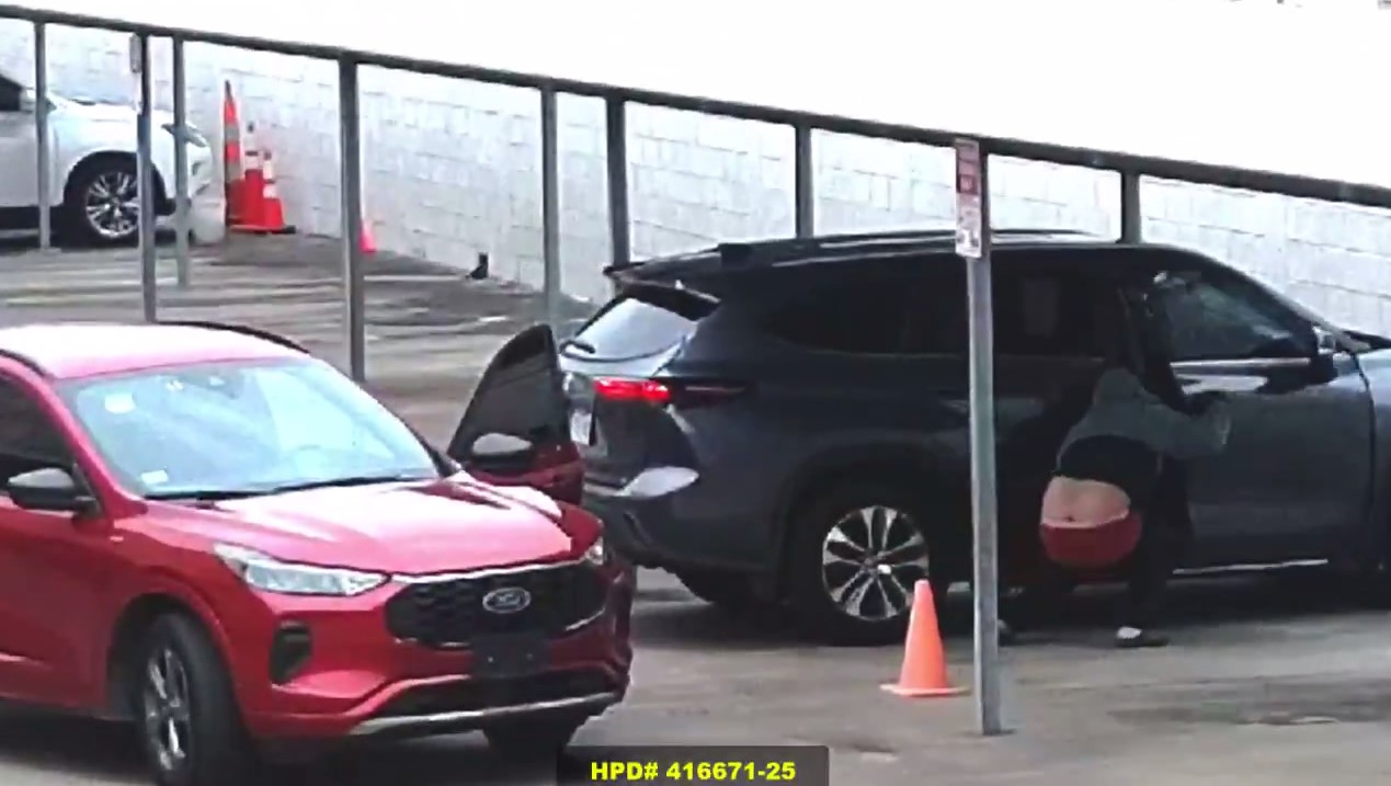 Jugging suspect takes elderly woman's purse: VIDEO