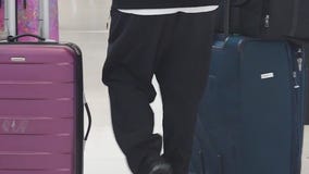 Travelers using AI to help plan trips