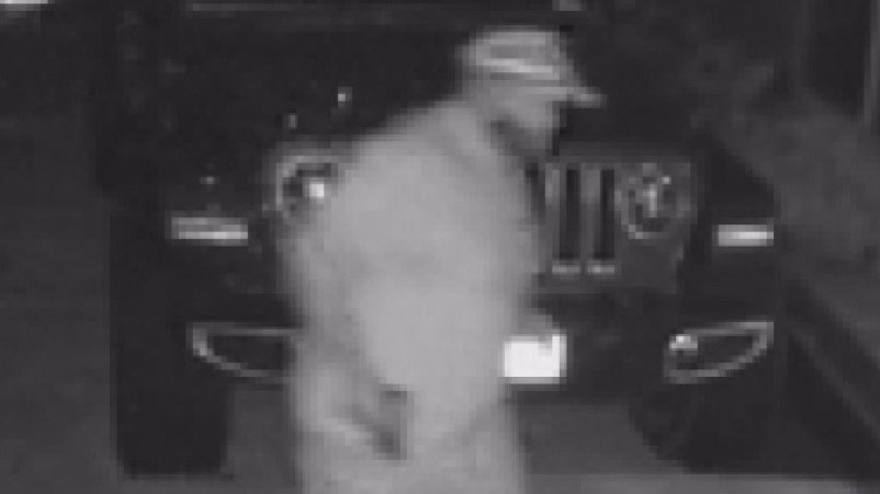 Woman ambushed in Atascocita