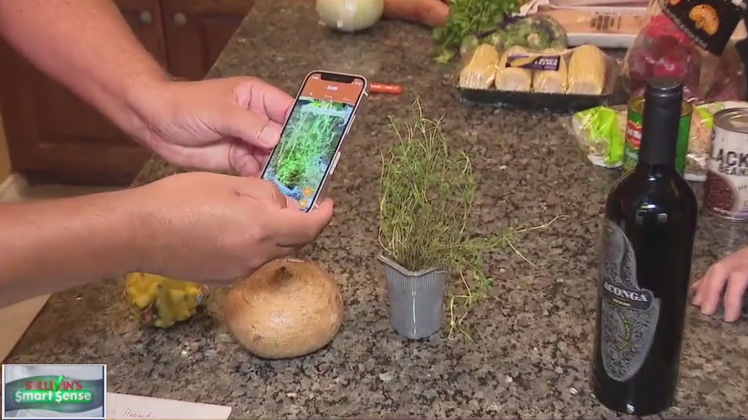 Kezo app can help create international meals