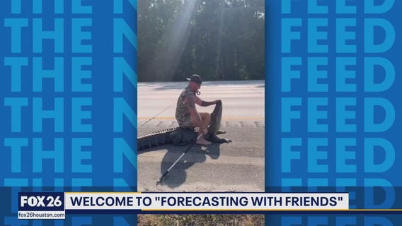 Furry Friends Friday! | Forecasting with Friends