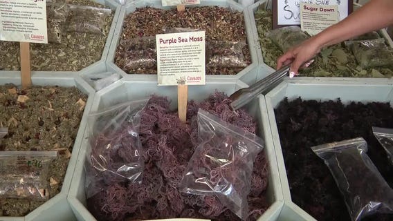 FULL INTERVIEW: Discover Natural Living with Los Cavazos at Houston Farmers Market