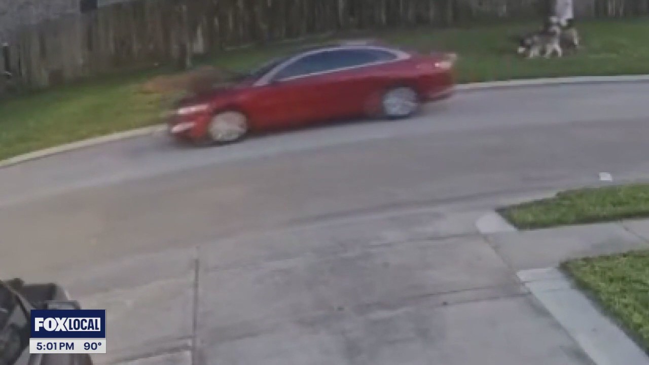 Spring crime: 76-year-old man killed by hit and run driver