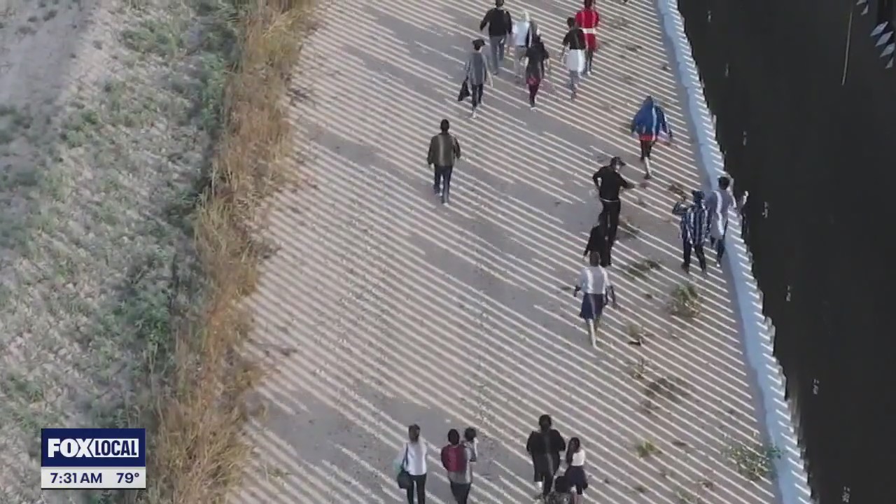 Controversial ICE arrests across the country | What's Your Point?