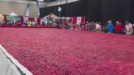 Pasadena Strawberry Festival | Bayou City Buzz