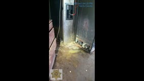 19 canines rescued from ?Dog House of Horrors?