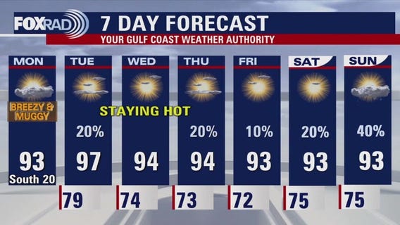 Houston weather forecast for May 19