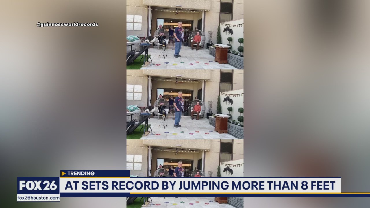 Furry Friends Friday: World record cat; dog fakes injury | Forecasting with Friends