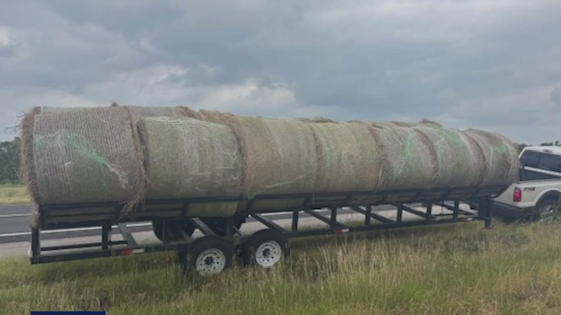 Immigrants found hidden in hay bales during Texas traffic stop