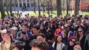 Judge pauses move against international Harvard students