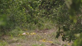 Chambers County plane crash kills man and his grandson, officials say