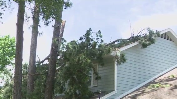 Early morning Houston storm leaves tree on top of house