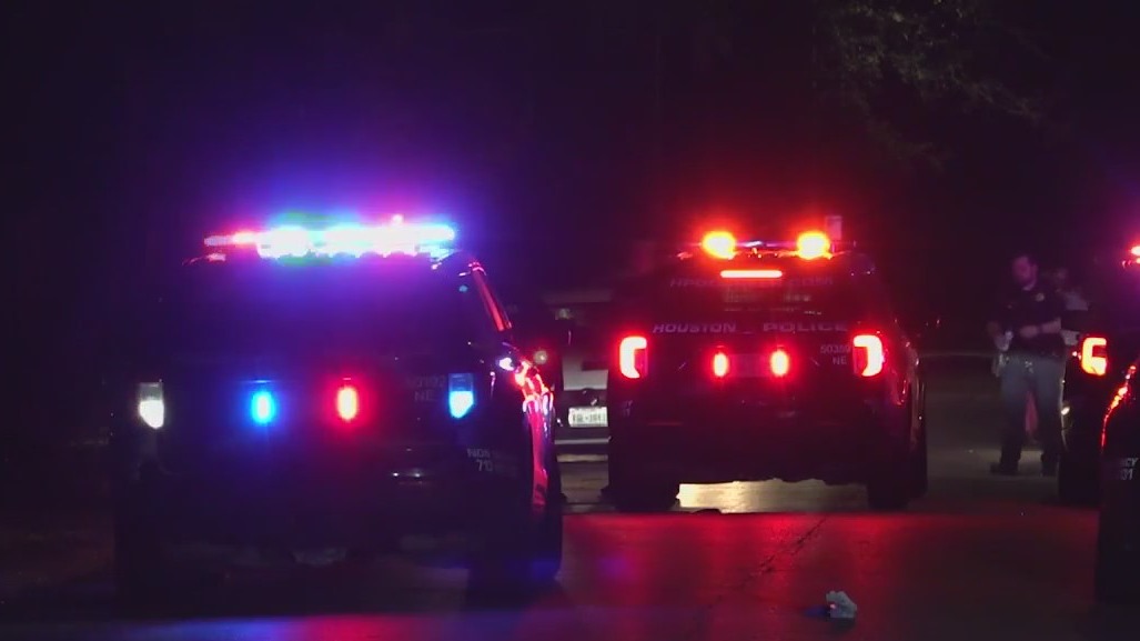 North Houston: Man accused of stabbing stepson to death