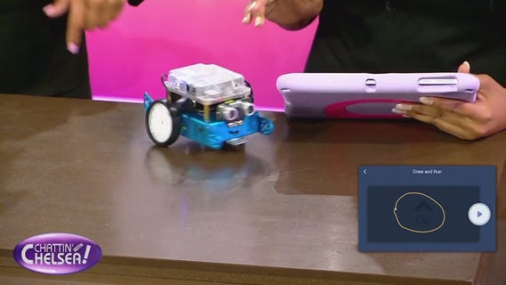 The future of AI and robotics