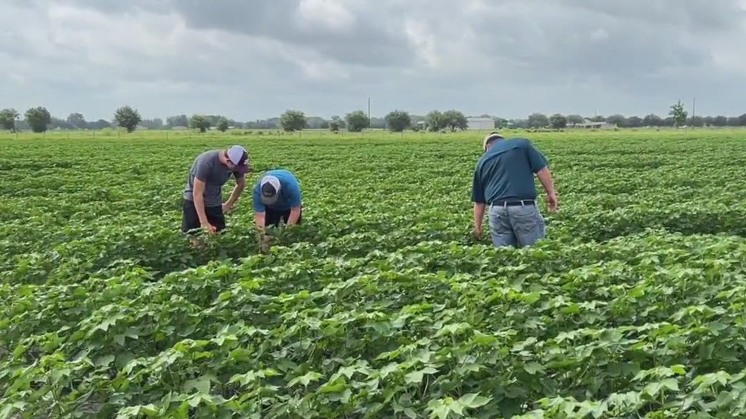 Trump tarrifs leave farmers anxious