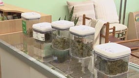 Governor Abbott vetoes THC ban bill