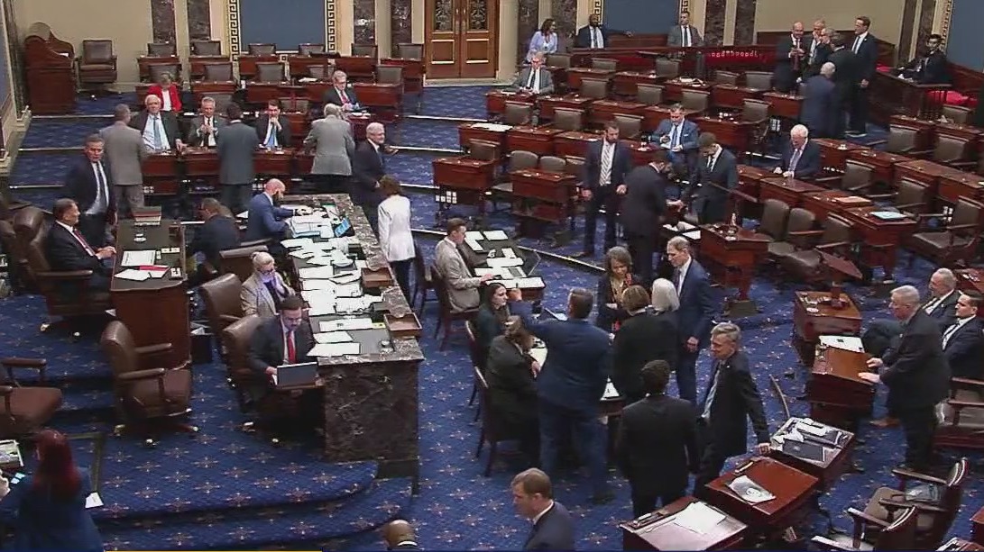 Senators vote through the night on budget bill