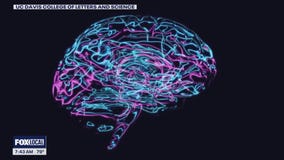 Investing in ibogaine | What's Your Point?