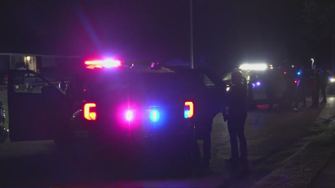 Houston man shot while reportedly burying pet guinea pig