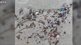 Advocates clean plastic pellets off Sylvan Beach