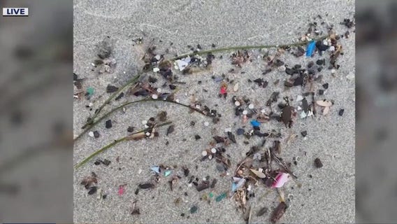 Advocates clean plastic pellets off Sylvan Beach
