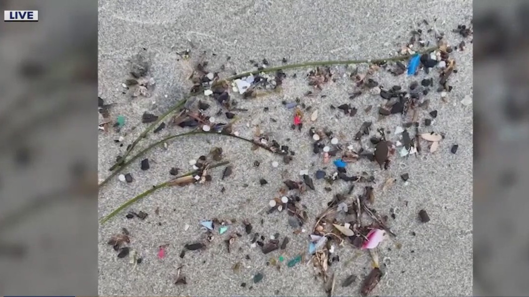 Advocates clean plastic pellets off Sylvan Beach