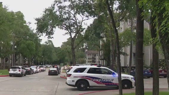 Spring, TX: Suspect detained for friend's shooting death, officials say