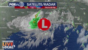 Gulf tropical disturbance weakens upon landfall