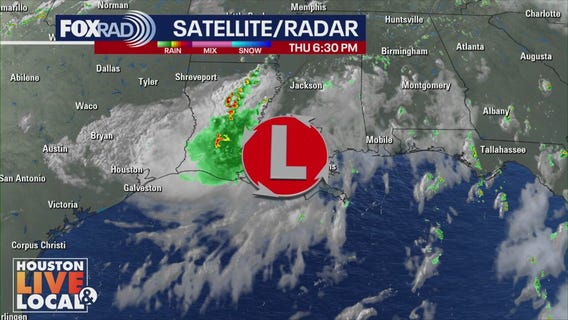 Gulf tropical disturbance weakens upon landfall