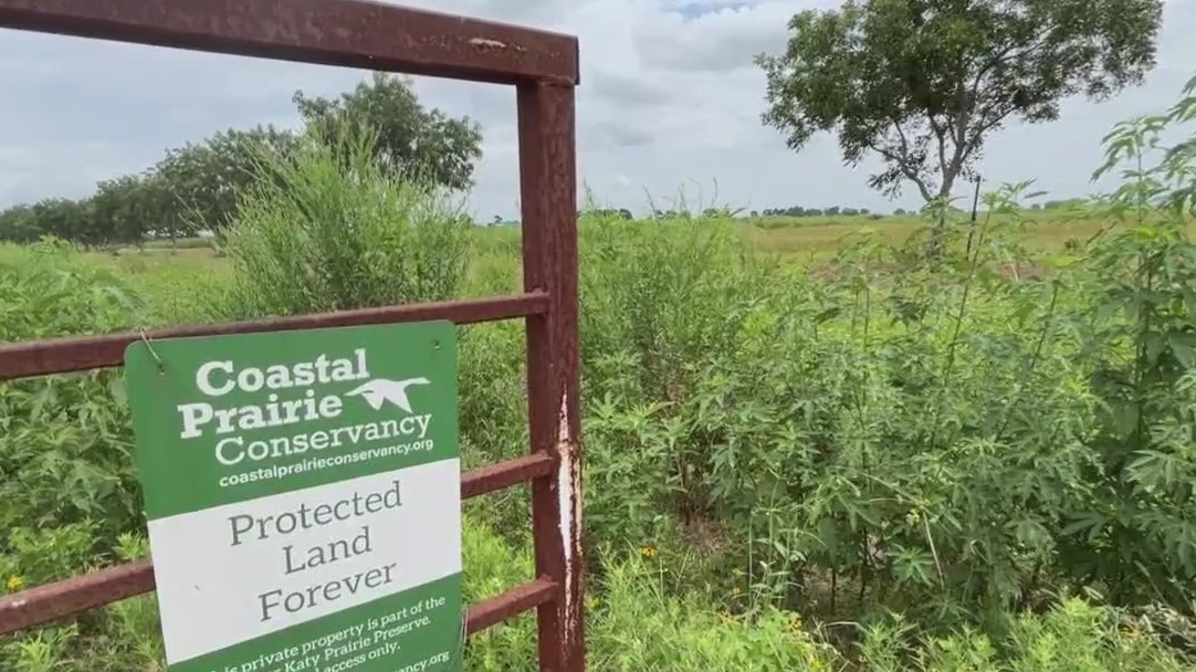 Conservancy group expands Katy Prairie protection from future developments