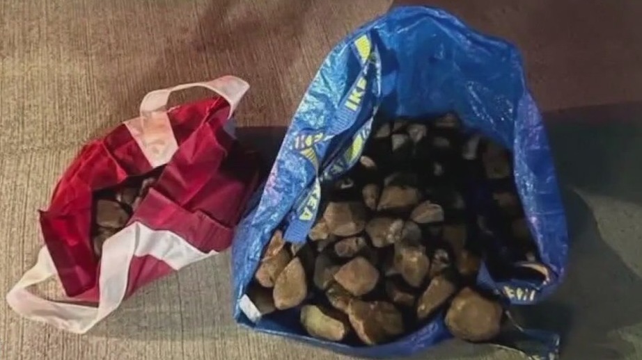 Alleged social media trend leads to two Harris County arrests, officials say