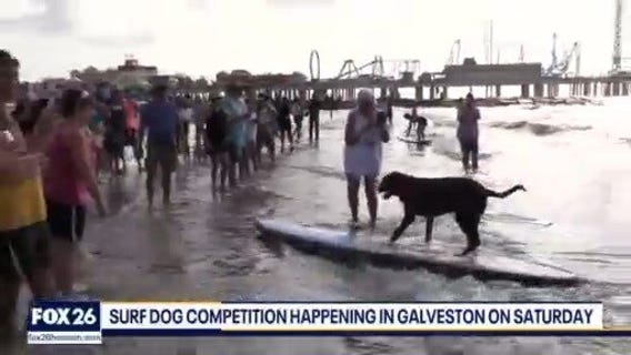 Furry Friends Friday & extended gear test | Forecasting with Friends