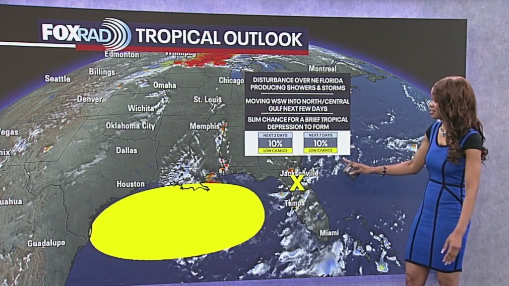 Tropical Weather Forecast - Watching for possible development in the Gulf this week