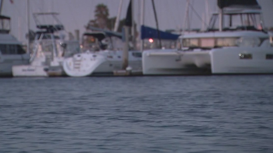 Tsunami activity in west U.S., record-breaking heat, and more Forecasting With Friends