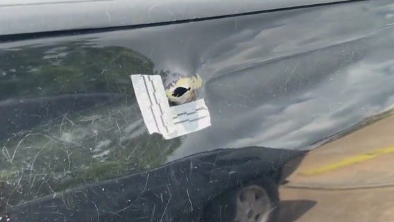 Rosenberg mobile home resident speaks on deadly shooting