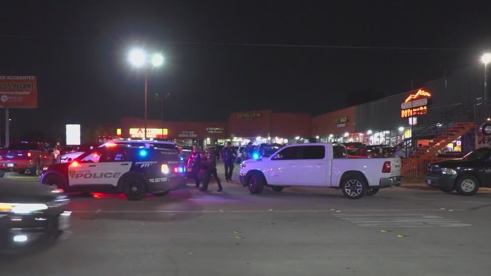 Five arrests following police raid at north Houston after-hours club