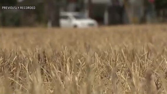 Texas water war | What's Your Point?