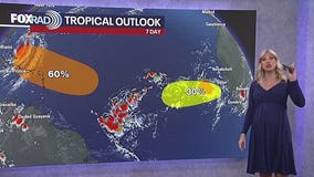 Monitoring Hurricane Erin, tropical waves