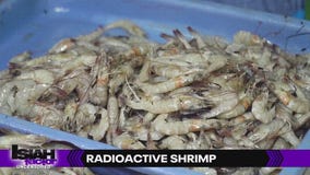 Radioactive shrimp warning, Marlon Wayans talks about possibly moving to Houston