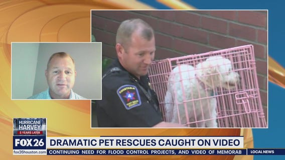 Former constable reflects on pet rescue efforts during Hurricane Harvey