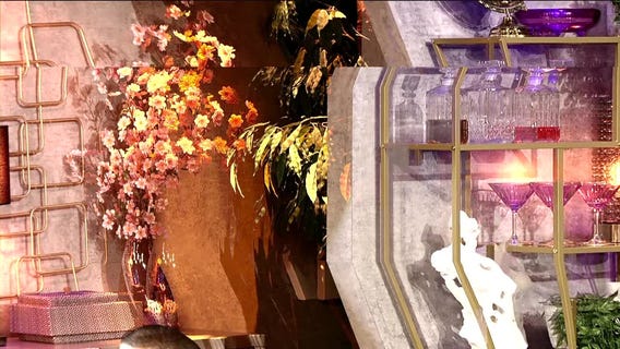 Are pets substitute children?