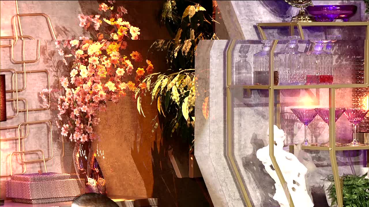 Are pets substitute children?