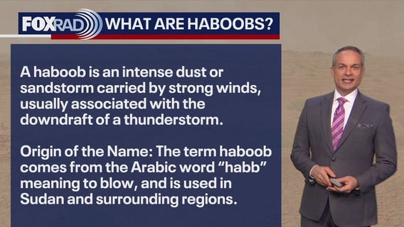 What is a haboob and your latest weather headlines | Forecasting With Friends