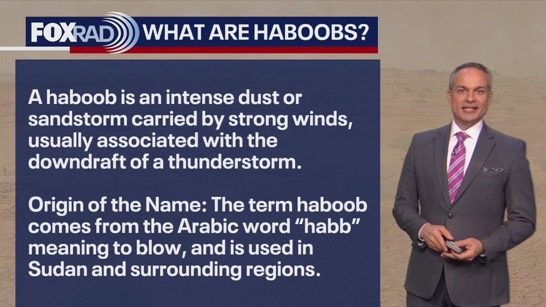 What is a haboob and your latest weather headlines | Forecasting With Friends