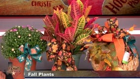 Remembering Hurricane Katrina, Texas special session continues, pumpkins in Houston, and more